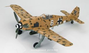 FW-190 F-8 Northern Italy, 1944